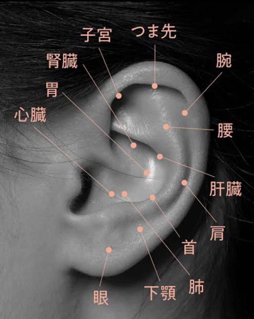 New メニューのご紹介 “耳ツボジュエリー”ってご存知ですか？ | Hygge